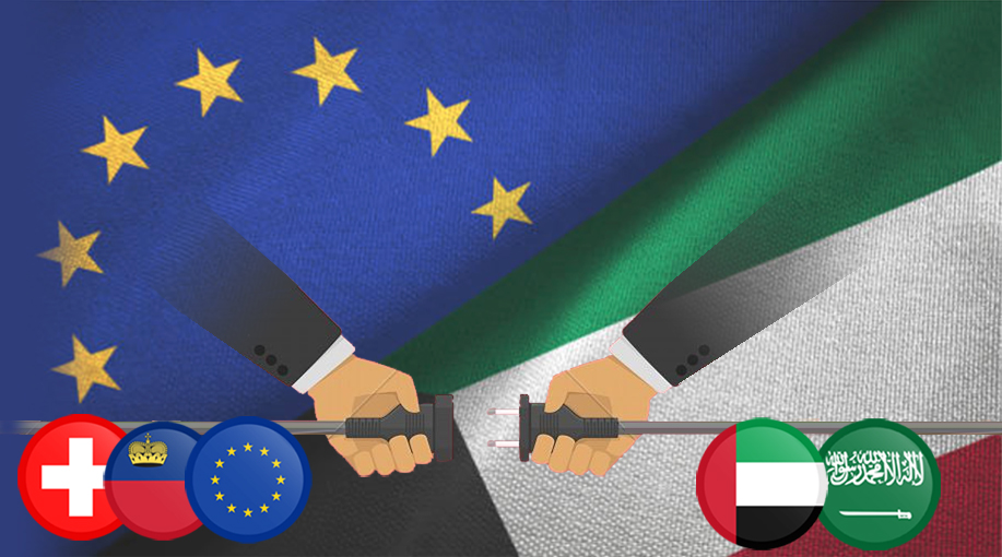 संयुक्त अरब अमीरात में Rinoinvest निवेश, खाड़ी राज्यों और यूरोप में